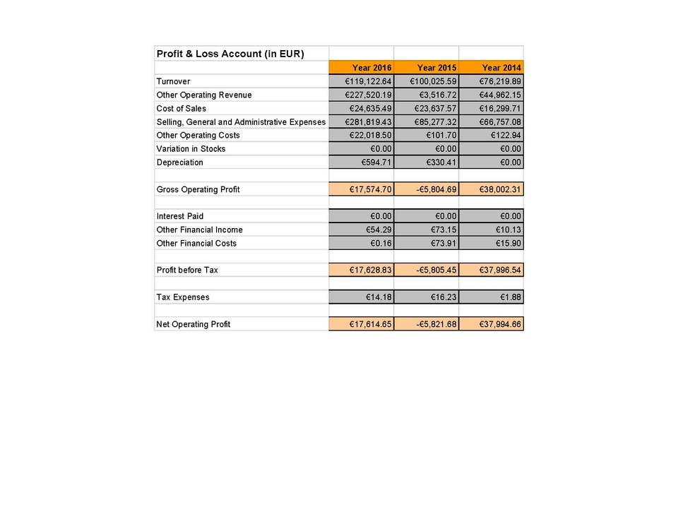 File:Open Knowledge Belgium - Profit and Loss Account.pdf